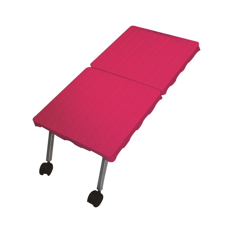 Rampe d'accès baignoire EVOLUTECH -M849-AGC-CREATION