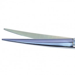 Curved scissors with finger rest, especially for hollow -P109-AGC-CREATION