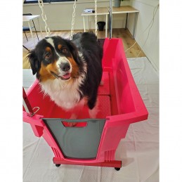 EVOLUTECH BATH - ADJUSTABLE ELECTRIC - EVOLUTECH STAND - FUSHIA -M701F-AGC-CREATION