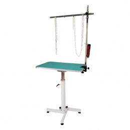TABLE PNEUMATIQUE TOURNANTE RANGEMENT FACILE - VERT -M870-AGC-CREATION