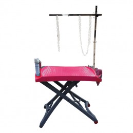 TABLE EVOLUTECH100 ELEVATRICE ELECTRIQUE PIEDS EVOLUTECH - FUCHSIA -M833-AGC-CREATION