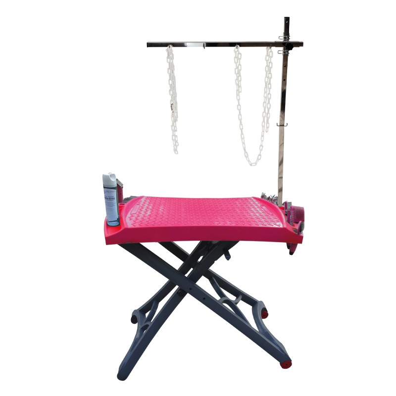 TABLE EVOLUTECH100 ELEVATRICE ELECTRIQUE PIEDS EVOLUTECH - FUCHSIA -M833-AGC-CREATION