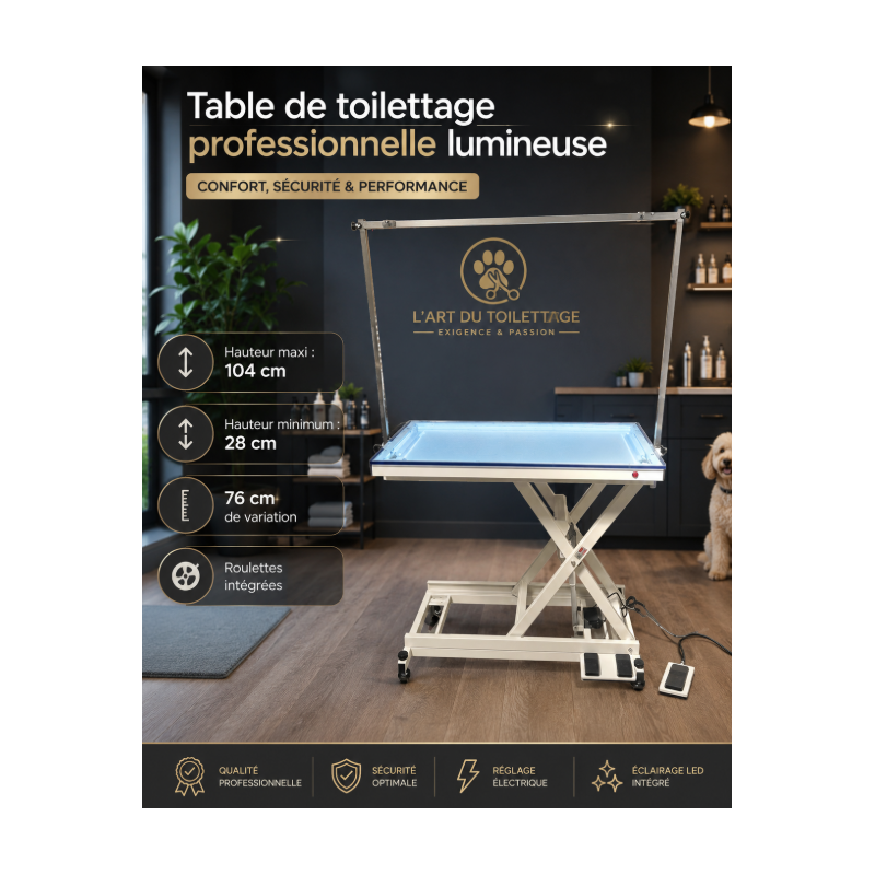 ELECTRIC LIGHTED GROOMING TABLE -CH20-AGC-CREATION