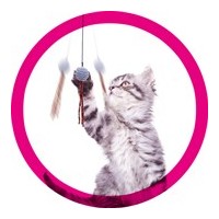 Jouets