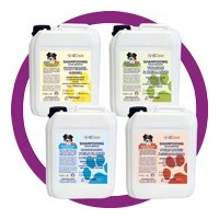 Shampooing AGC : Liquide en vrac