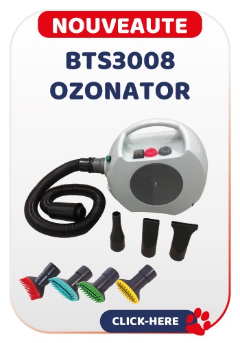 BTS OZONATEUR